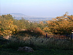 kilátás