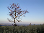 Hegytetőn