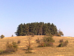 szép vadregényes