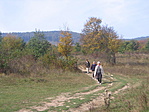 Csavargók a parkolóban
