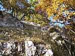 Őszi kép