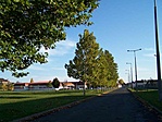 Platánsor
