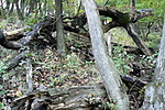tereptárgyak