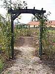 Lugas ősszel