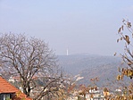 kilátás