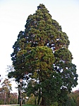 Fa 2