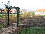 A Rózsakert