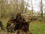 Maradék