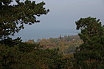 Kilátás