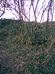 Környéke