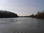 Tisza sodrásában