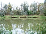 Tó