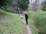 Lányok