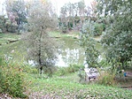 Tó