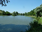Tó