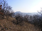 a csúcson