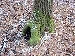 rejtek
