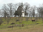 Kápolna lovakkal