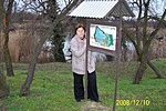 Mamival