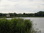 2007.Júniusi kép