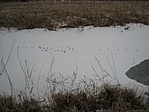 Lábnyomok