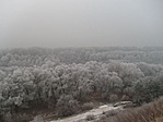 Panoráma