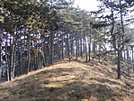 a láda mellett
