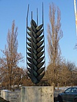 Kalász