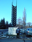a búzakalász