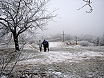 Visszafelé