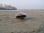 zúzmarás, tehát nem a beach ;-)