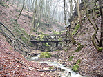 Vadregényes táj