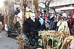 Busótraktor