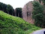 Elpusztultak