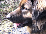 Barnabás a patakparton