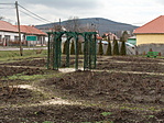 Rózsatövek, lugasok