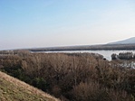 kilátás