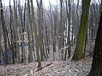 Felülről