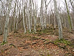 Felfelé kicsivel fárasztóbb lett volna...