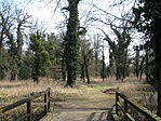 A kastély parkjában