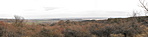 Panoráma