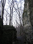 Belőle