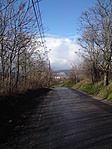 Visszafelé