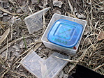 a meggyötört láda