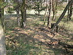 Túrás