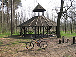 Csendélet