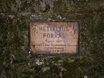 A forrás