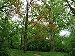 Kastélypark
