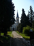 reggeli fényben