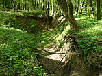 szurdok